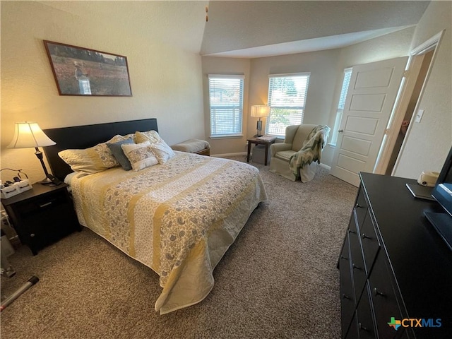 bedroom with dark colored carpet