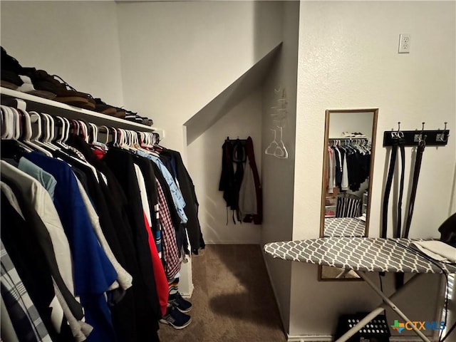 spacious closet featuring carpet floors