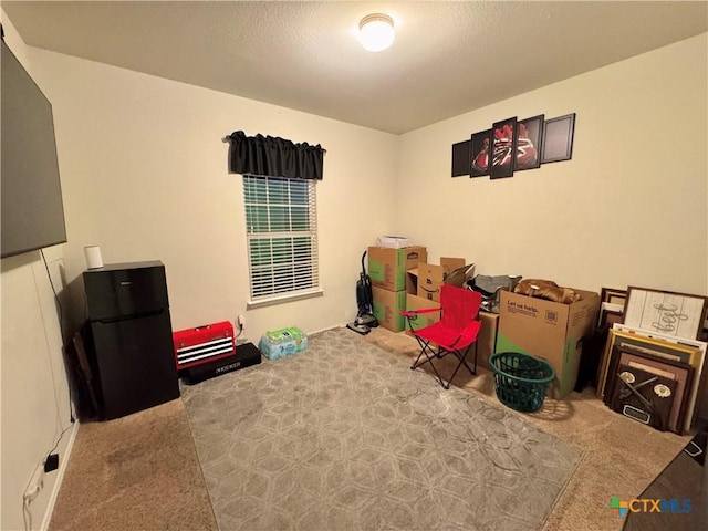 recreation room with carpet and a textured ceiling