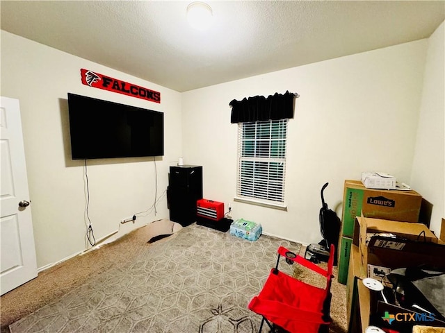 playroom with carpet and a textured ceiling