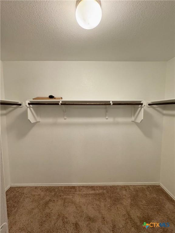 spacious closet featuring carpet flooring