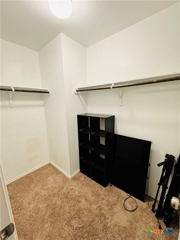 spacious closet featuring carpet flooring