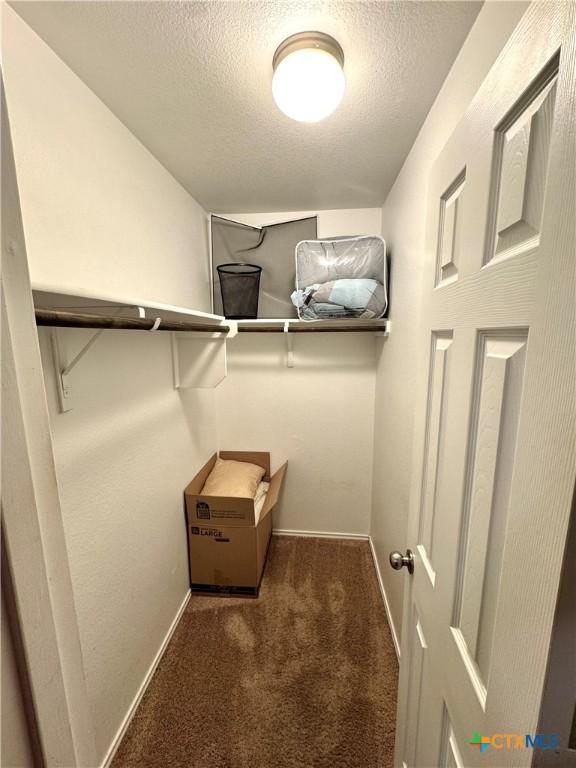 walk in closet featuring carpet