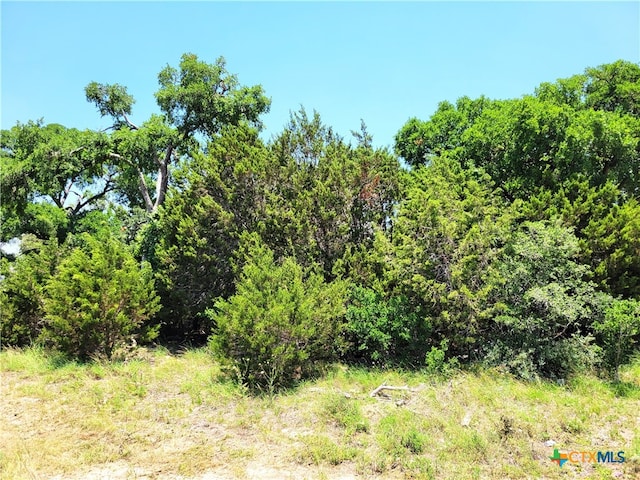 1318 Mystic Shores Blvd, Spring Branch TX, 78070 land for sale