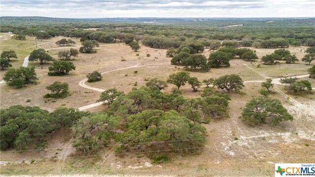 LOT181 Blackbuck Ridge Dr, Lampasas TX, 76550 land for sale