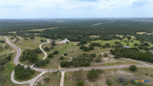 LOT181 Blackbuck Ridge Dr, Lampasas, TX 76550 - photo 1