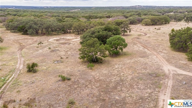 LOT181 Blackbuck Ridge Dr, Lampasas, TX 76550 - photo 14