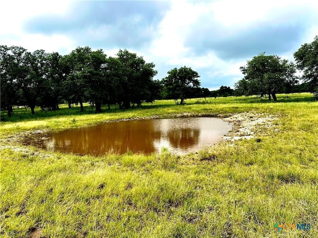 LOT181 Blackbuck Ridge Dr, Lampasas, TX 76550 - photo 7