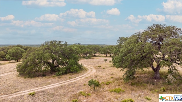 Listing photo 3 for LOT181 Blackbuck Ridge Dr, Lampasas TX 76550