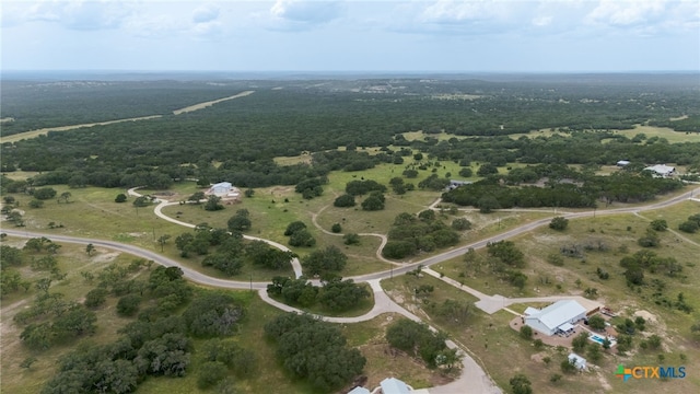 LOT181 Blackbuck Ridge Dr, Lampasas, TX 76550 - photo 3