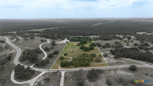 LOT181 Blackbuck Ridge Dr, Lampasas, TX 76550 - photo 2