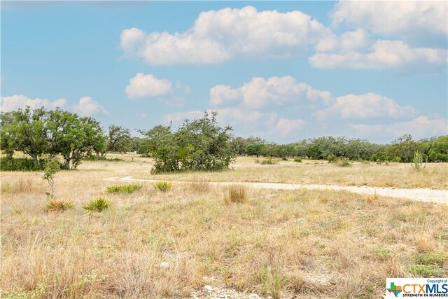 LOT181 Blackbuck Ridge Dr, Lampasas, TX 76550 - photo 16