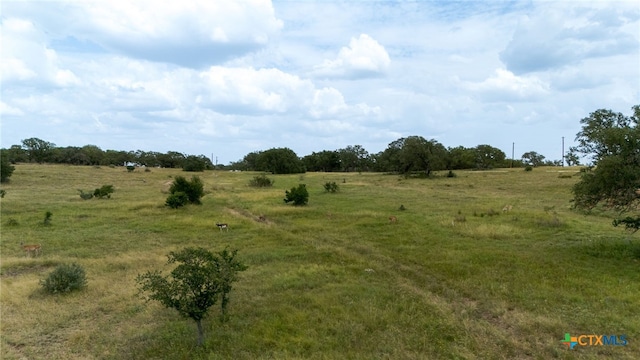 LOT181 Blackbuck Ridge Dr, Lampasas, TX 76550 - photo 9