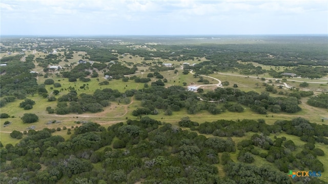 LOT181 Blackbuck Ridge Dr, Lampasas, TX 76550 - photo 4