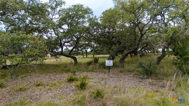 LOT181 Blackbuck Ridge Dr, Lampasas, TX 76550 - photo 5