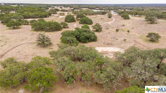 LOT181 Blackbuck Ridge Dr, Lampasas, TX 76550 - photo 15
