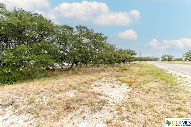 LOT181 Blackbuck Ridge Dr, Lampasas, TX 76550 - photo 20