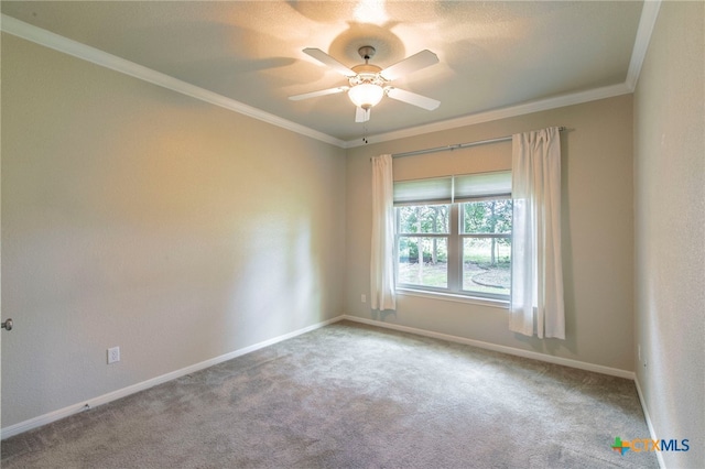 13631 Moss Rose Trl, Belton, TX 76513 - photo 19