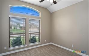 7803 Hathaway Ln, Killeen, TX 76542 - photo 12