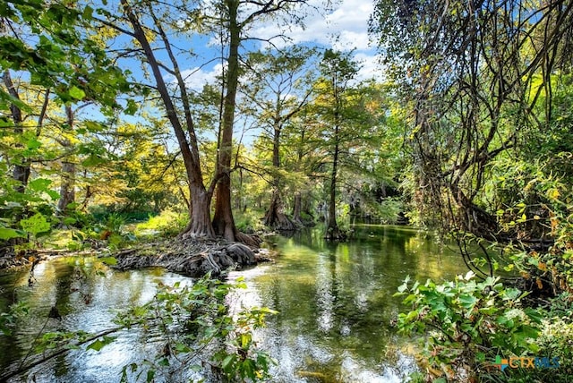 730 E Mather St Unit B101, New Braunfels, TX 78130 - water view
