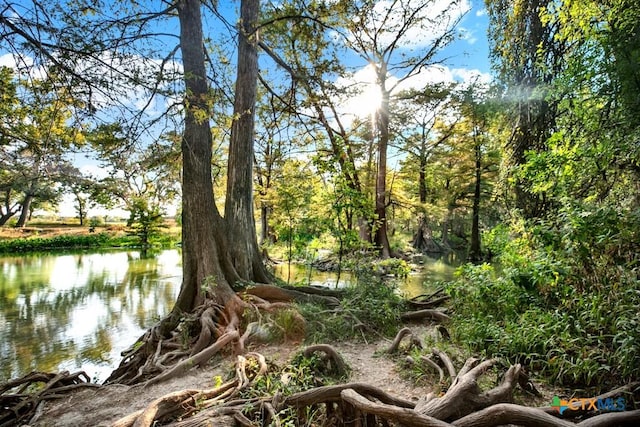 730 E Mather St Unit B101, New Braunfels, TX 78130 - view of undeveloped land featuring a large body of water