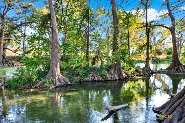 730 E Mather St Unit B101, New Braunfels, TX 78130 - water view