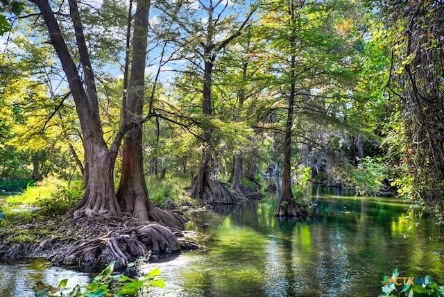 730 E Mather St Unit B101, New Braunfels, TX 78130 - water view featuring a heavily wooded area