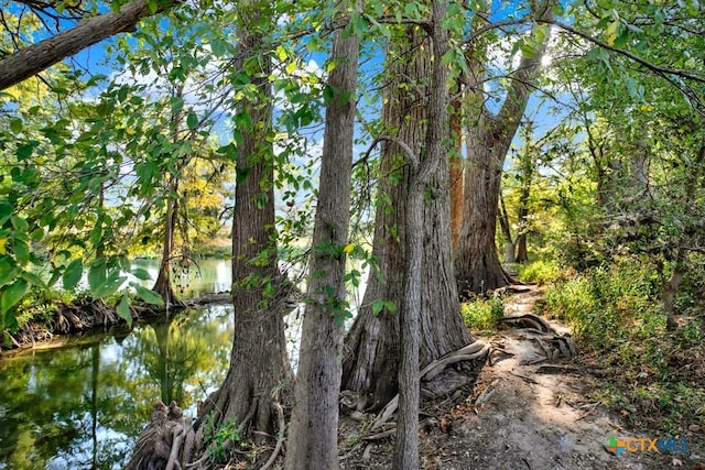 730 E Mather St Unit B101, New Braunfels, TX 78130 - view of nature