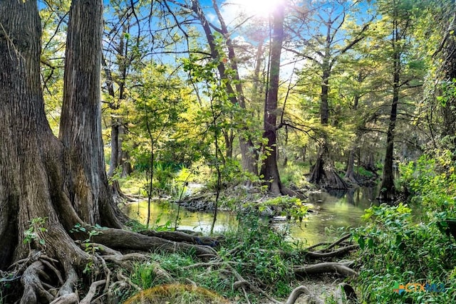 730 E Mather St Unit B101, New Braunfels, TX 78130 - view of nature