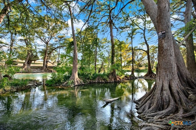 730 E Mather St Unit B101, New Braunfels, TX 78130 - water view