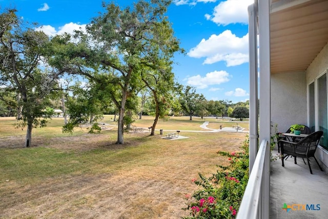 730 E Mather St Unit B101, New Braunfels, TX 78130 - view of grassy yard
