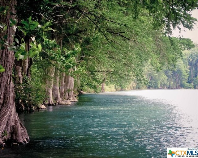 2240 Sur Ave, New Braunfels, TX 78132 - water view featuring a heavily wooded area
