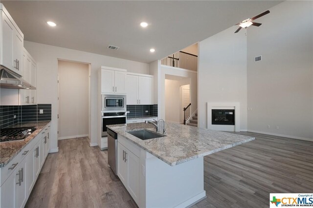 2240 Sur Ave, New Braunfels, TX 78132 - kitchen featuring appliances with stainless steel finishes, a sink, baseboards, ceiling fan, and backsplash