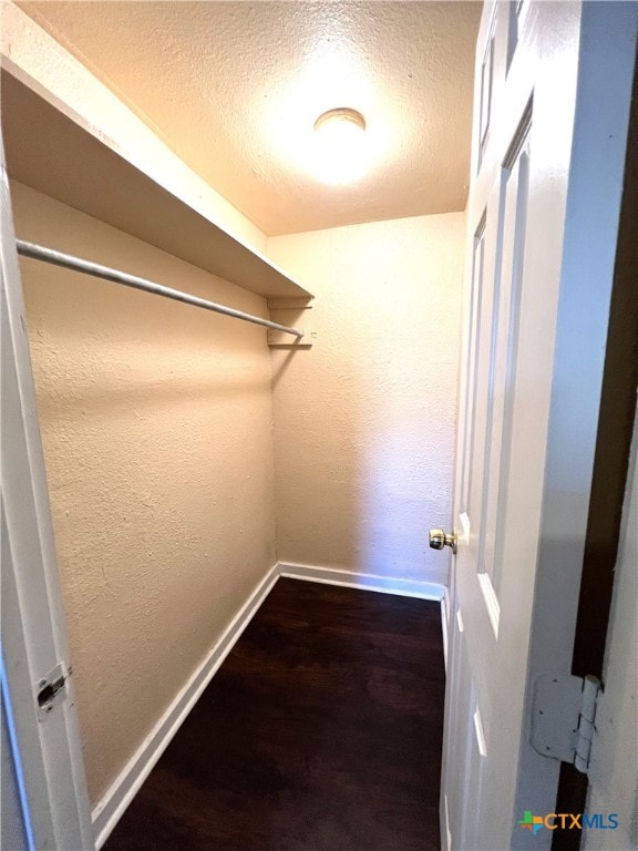 walk in closet with dark hardwood / wood-style floors