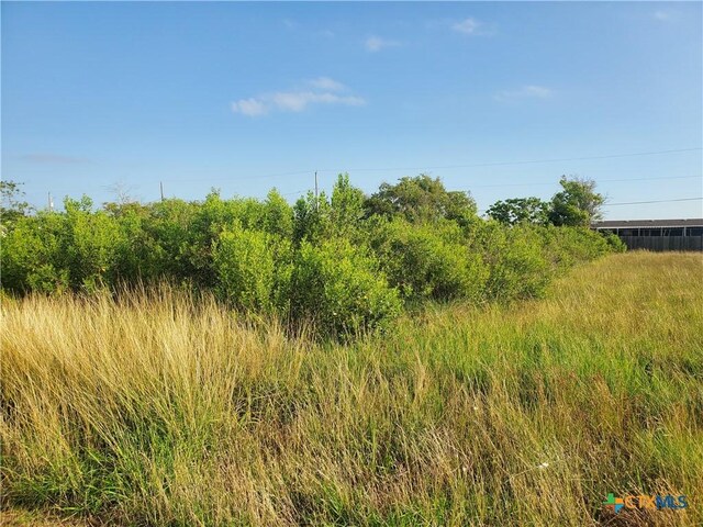 704 W Toledo Ave, Seadrift, TX 77983 - photo 4