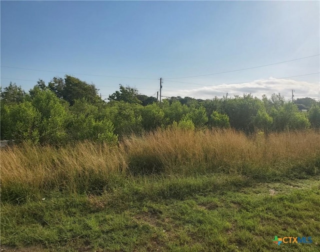 704 W Toledo Ave, Seadrift, TX 77983 - photo 3