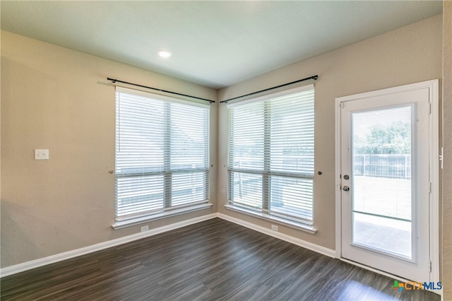 interior space featuring dark wood-type flooring and a wealth of natural light