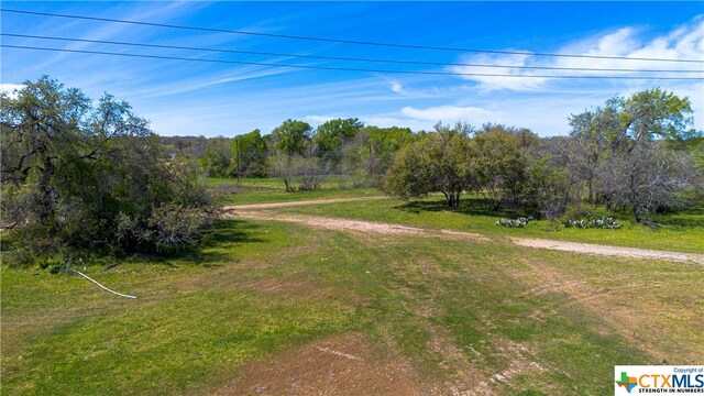 TBD Fm 1150, Kingsbury, TX 78638 - photo 6