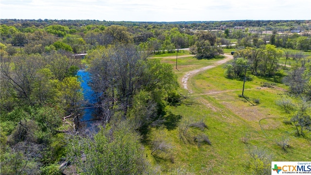 TBD Fm 1150, Kingsbury, TX 78638 - photo 9