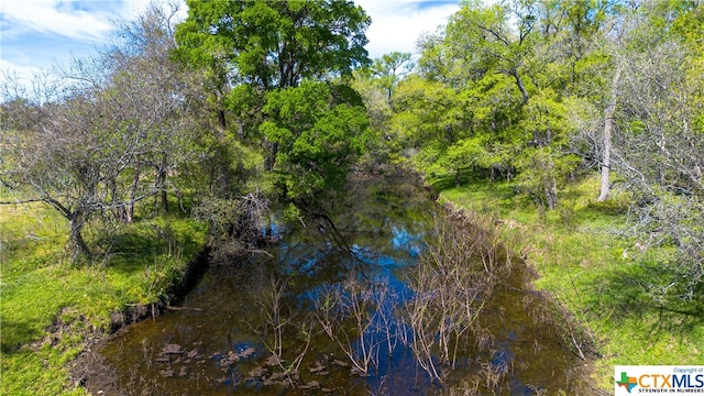 TBD Fm 1150, Kingsbury, TX 78638 - photo 8