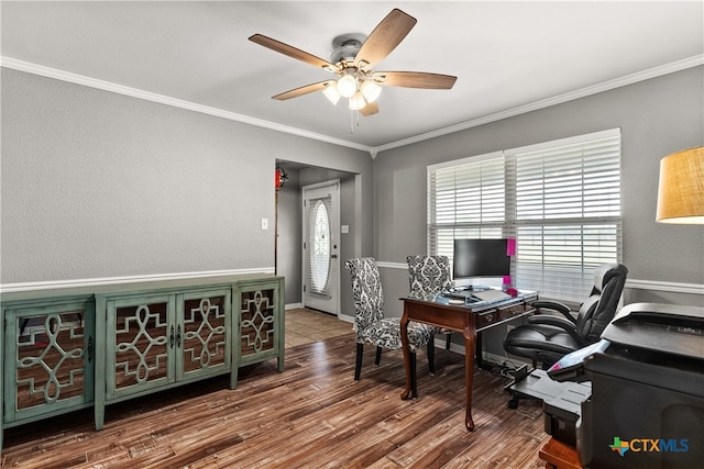 office with hardwood / wood-style floors, ceiling fan, and ornamental molding