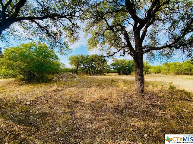 3605 Churchhill Dr, Gatesville TX, 76528 land for sale