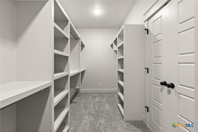 6119 Big Tree Dr, Salado, TX 76571 - walk in closet with light colored carpet