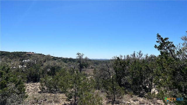 562 Prairie Tea Ln, Canyon Lake TX, 78133 land for sale