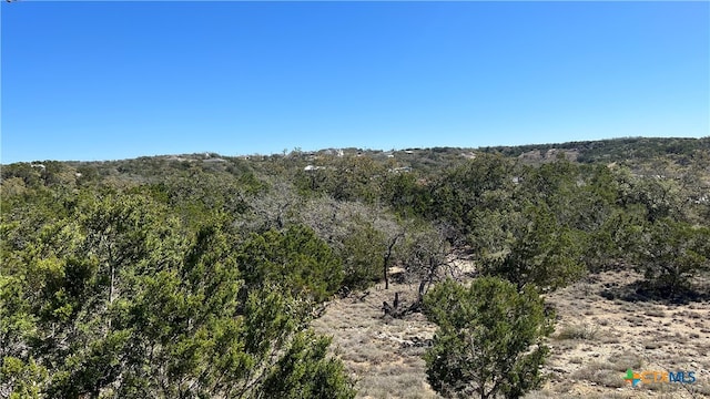 Listing photo 3 for 562 Prairie Tea Ln, Canyon Lake TX 78133