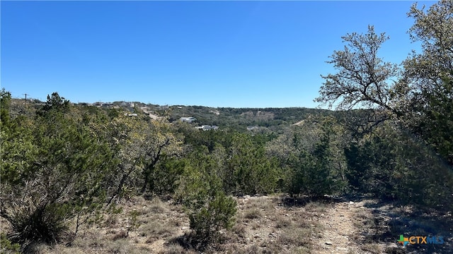 Listing photo 2 for 562 Prairie Tea Ln, Canyon Lake TX 78133