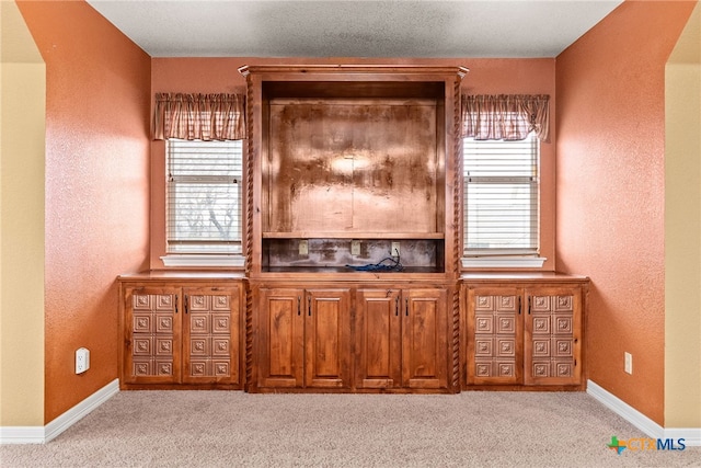 bar featuring a textured wall, baseboards, and light colored carpet