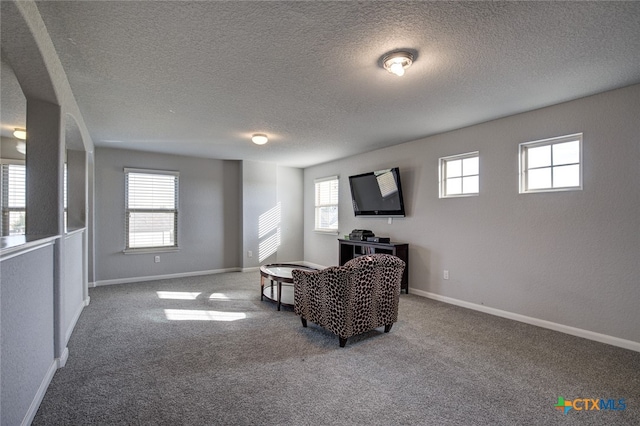 living area with a textured ceiling and carpet