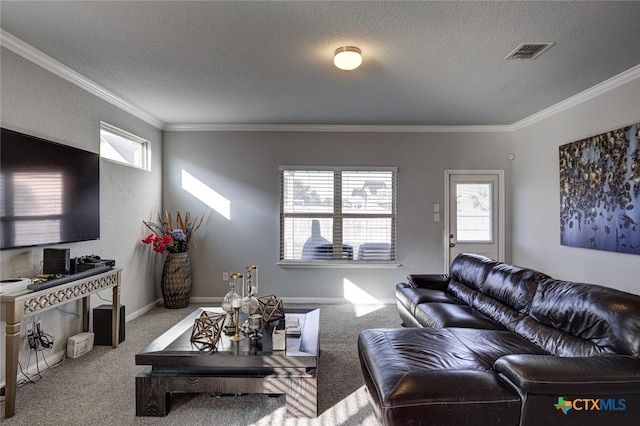 carpeted living room featuring plenty of natural light, a textured ceiling, and crown molding