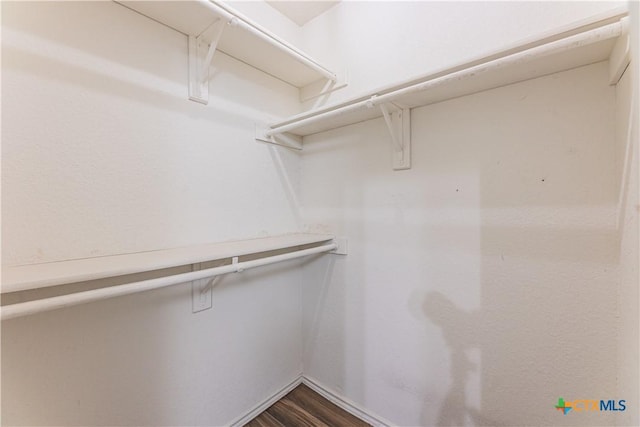 2405 Thoroughbred Dr, Killeen, TX 76549 - spacious closet with dark wood-style flooring